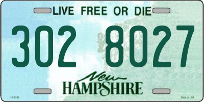 NH license plate 3028027
