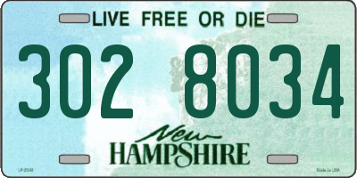 NH license plate 3028034