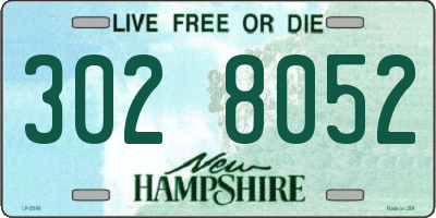 NH license plate 3028052