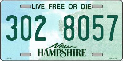 NH license plate 3028057