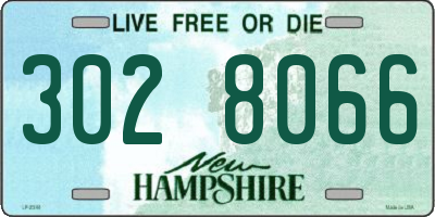 NH license plate 3028066