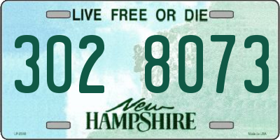 NH license plate 3028073