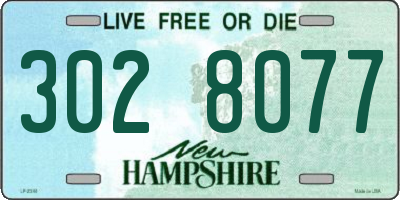 NH license plate 3028077