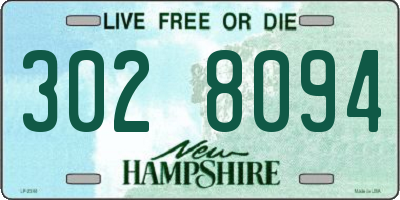 NH license plate 3028094