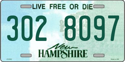 NH license plate 3028097