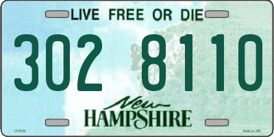 NH license plate 3028110