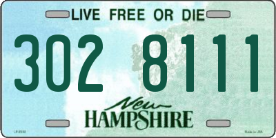 NH license plate 3028111