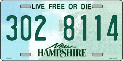 NH license plate 3028114