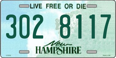 NH license plate 3028117