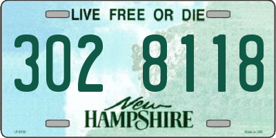 NH license plate 3028118