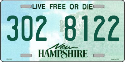 NH license plate 3028122