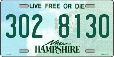 NH license plate 3028130