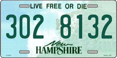 NH license plate 3028132