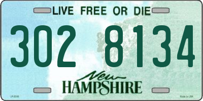 NH license plate 3028134
