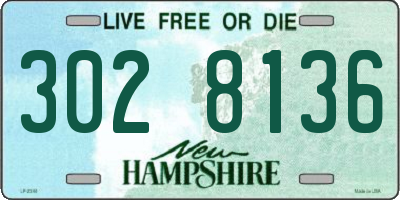 NH license plate 3028136