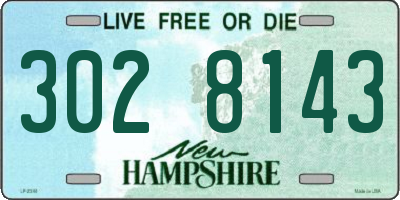 NH license plate 3028143