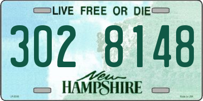 NH license plate 3028148