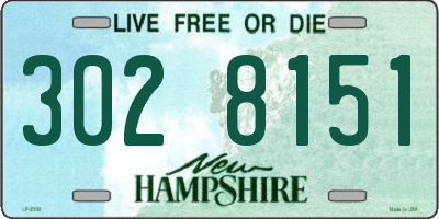 NH license plate 3028151