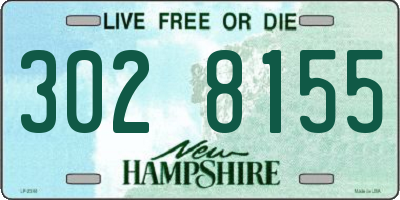 NH license plate 3028155