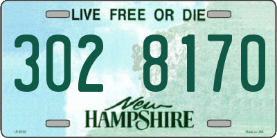 NH license plate 3028170