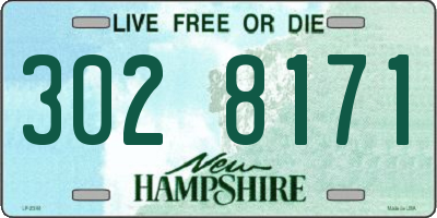 NH license plate 3028171