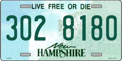 NH license plate 3028180