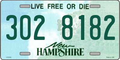 NH license plate 3028182