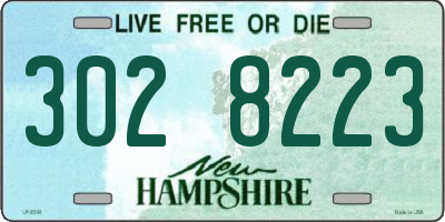 NH license plate 3028223