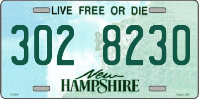 NH license plate 3028230