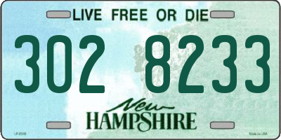 NH license plate 3028233
