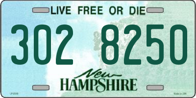 NH license plate 3028250