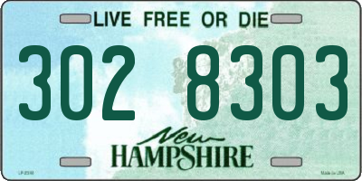 NH license plate 3028303