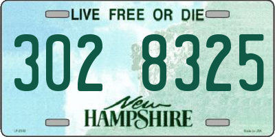 NH license plate 3028325