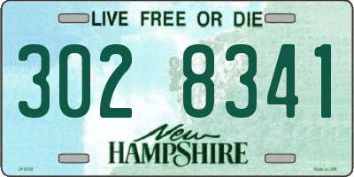 NH license plate 3028341
