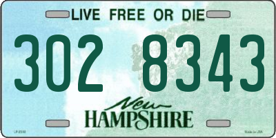 NH license plate 3028343