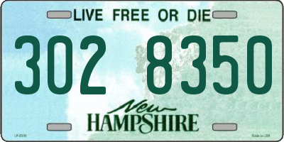 NH license plate 3028350