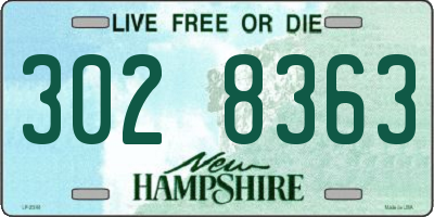 NH license plate 3028363