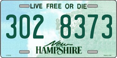NH license plate 3028373