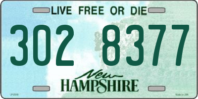 NH license plate 3028377
