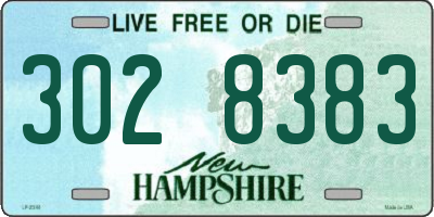 NH license plate 3028383