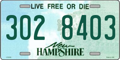 NH license plate 3028403