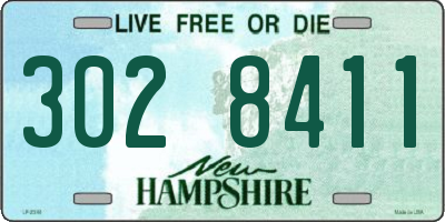 NH license plate 3028411