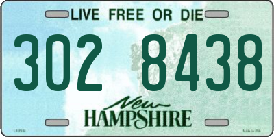 NH license plate 3028438