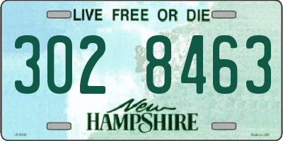 NH license plate 3028463