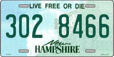 NH license plate 3028466