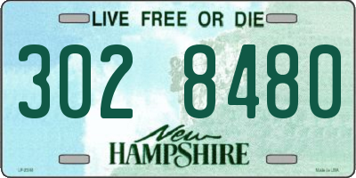 NH license plate 3028480