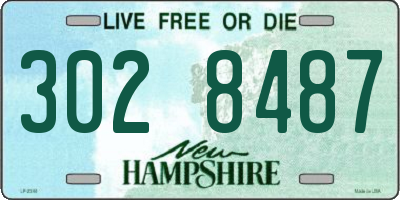NH license plate 3028487