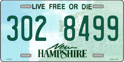 NH license plate 3028499