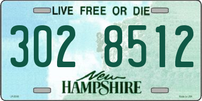 NH license plate 3028512
