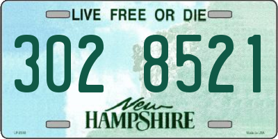 NH license plate 3028521